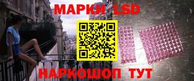 дмт Кандалакша