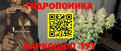 дмт Кандалакша