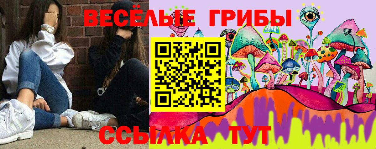 Галлюциногенные грибы MAGIC MUSHROOMS Копейск